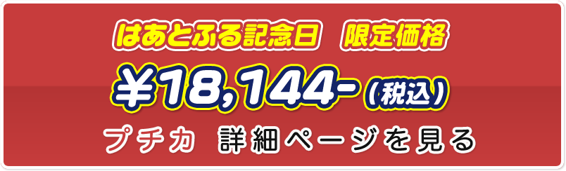 プチカ 詳細ページを見る